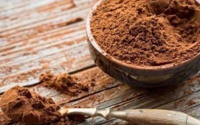 Paleo Hack: Difference between CACAO, COCOA & CAROB powders