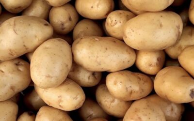 Paleo Hacks: Potatoes Are A-OK