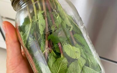 Paleo Hacks: The Herb You need in your Life