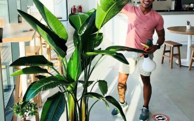 SMALL BUSINESS SHOUT OUT – @HAPPYENDINGPLANTS
