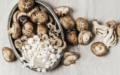 MAKE ROOM FOR ‘SHROOMS!