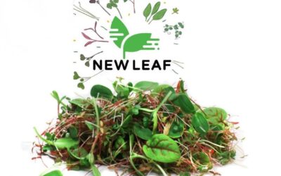 NEW LEAF MICROGREENS