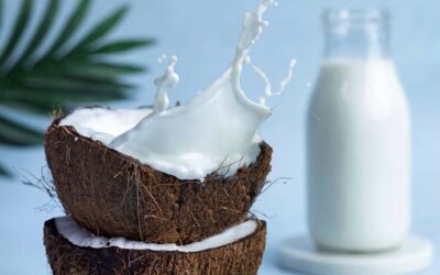 NOT ALL CANNED COCONUT MILK IS EQUAL