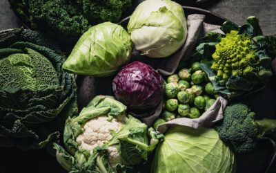 Know your Cabbage